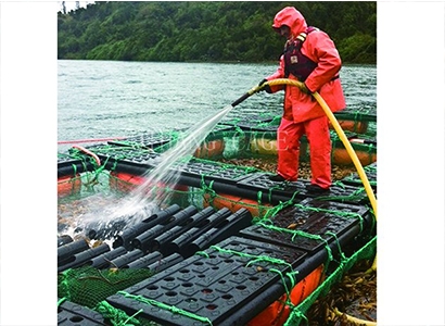 鮑魚網(wǎng)箱